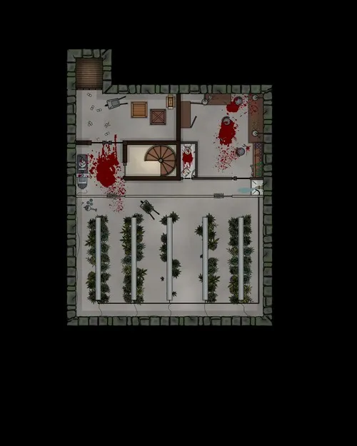 Drug House - Basement Drug - Plantation - Splatter