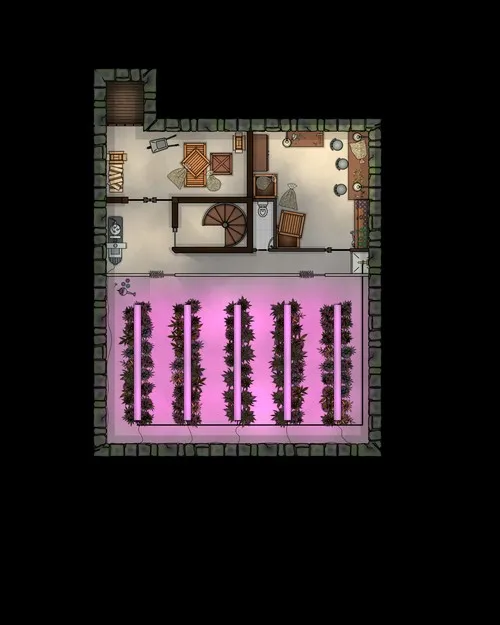 Drug House - Basement Drug - Plantation