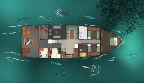 Fishing Boat - Cabins - Dolphins