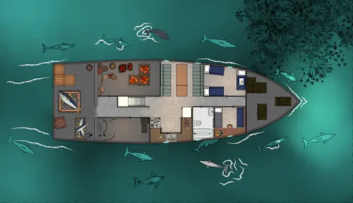 Fishing Boat - Fishermen - Dolphins