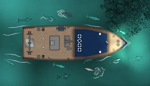 Fishing Boat - Top 2 - Dolphins