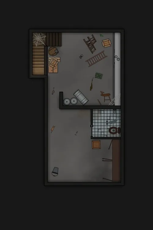 Jones Residence - Cellar - Abandoned