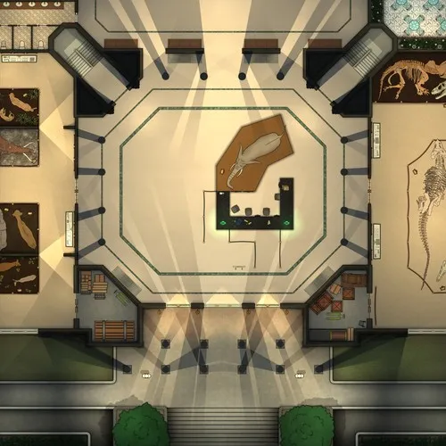 National Museum Of Natural History - Night